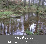 Habitat3.jpg