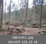 Habitat1.jpg