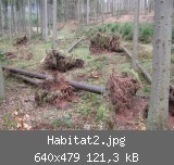 Habitat2.jpg