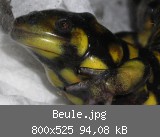 Beule.jpg