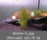 Becken-3.jpg