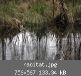habitat.jpg
