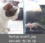 Monty&Java03.jpg