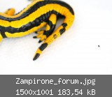 Zampirone_forum.jpg