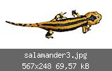 salamander3.jpg