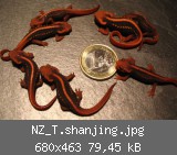 NZ_T.shanjing.jpg