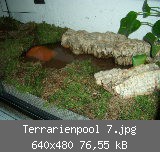 Terrarienpool 7.jpg