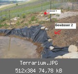 Terrarium.JPG