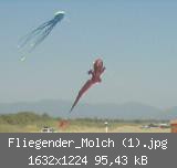 Fliegender_Molch (1).jpg
