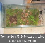 Terrarium_5_30Prozent verkleinert.jpg