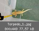 Torpedo_1.jpg