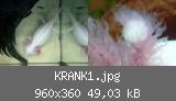 KRANK1.jpg