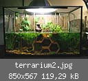 terrarium2.jpg