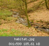 habitat.jpg