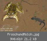 FroschundMolch.jpg