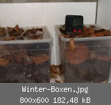 Winter-Boxen.jpg