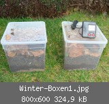 Winter-Boxen1.jpg
