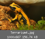 Terrarium4.jpg