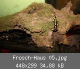 Frosch-Haus 05.jpg