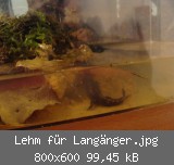 Lehm fr Langnger.jpg