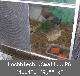 Lochblech (Small).JPG