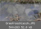 Grasfroschlaich.JPG