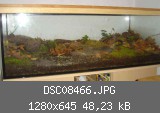 DSC08466.JPG