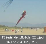 Fliegender_Molch (2).jpg