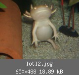 lotl2.jpg