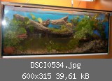 DSCI0534.jpg