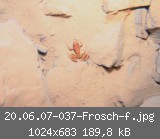 20.06.07-037-Frosch-f.jpg