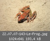 22.07.07-143-Le-Frog.jpg
