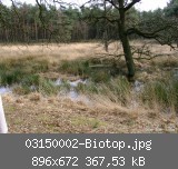 03150002-Biotop.jpg