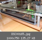 DSC00165.jpg
