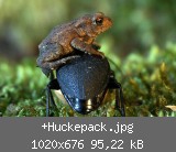 +Huckepack.jpg
