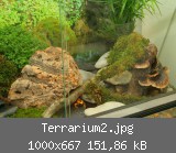 Terrarium2.jpg