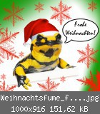 Weihnachtsfume_forum.jpg