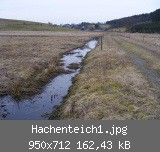 Hachenteich1.jpg