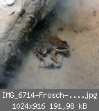 IMG_6714-Frosch-sucht-Decku.jpg