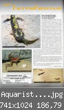 Aquaristik-Magazin-Mrz--Ap.jpg