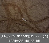 _MG_6069-Niphargus-6-mit-Spuren.jpg