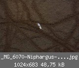 _MG_6070-Niphargus-7-mit-Spuren.jpg