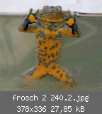 frosch 2 240.2.jpg