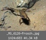 _MG_6126-Frosch.jpg