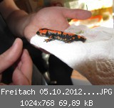 Freitach 05.10.2012 012 (Mittel).JPG
