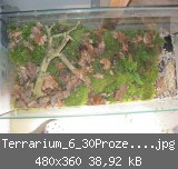 Terrarium_6_30Prozent verkleinert.jpg