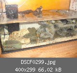 DSCF0299.jpg