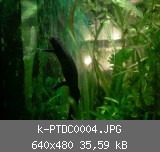 k-PTDC0004.JPG