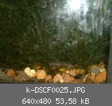 k-DSCF0025.JPG