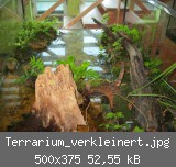 Terrarium_verkleinert.jpg